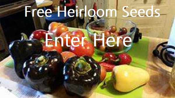 Free Heirloom Seeds